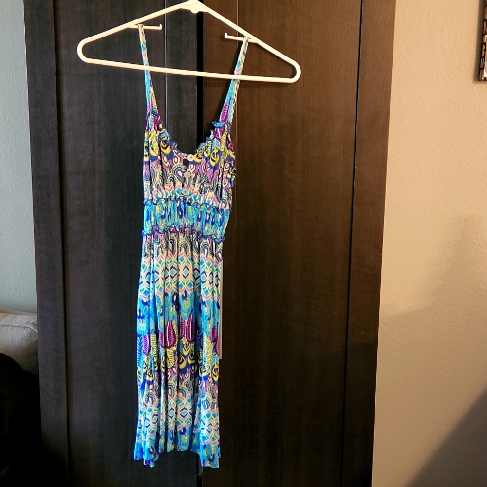 Vibrant Peacock Dress